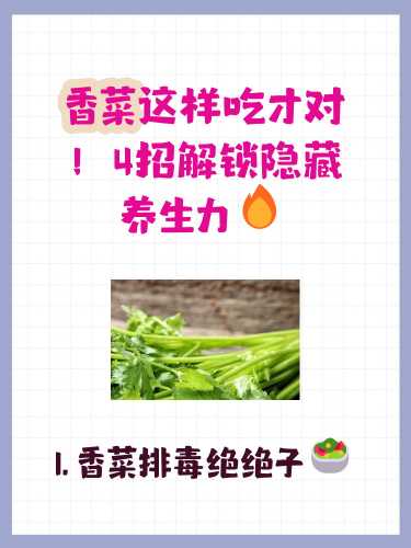 备孕可以吃香菜包子吗-第1张图片