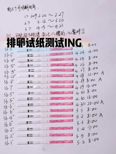 宫外孕出血后多久可备孕-第1张图片
