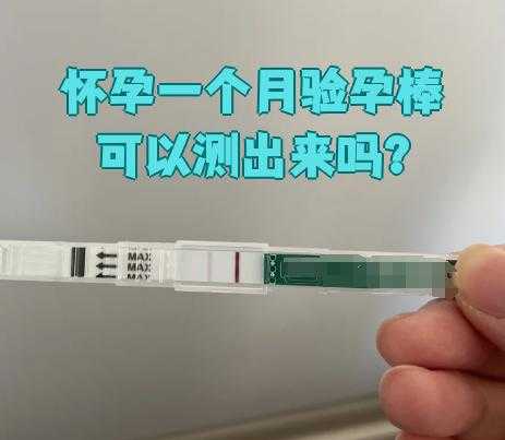 同房二天能测出怀孕吗-第1张图片