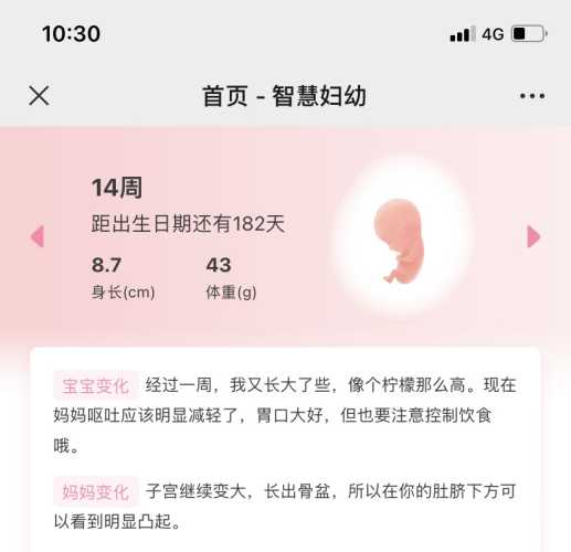 孕早期不孕孕中期孕反咋回事-第1张图片