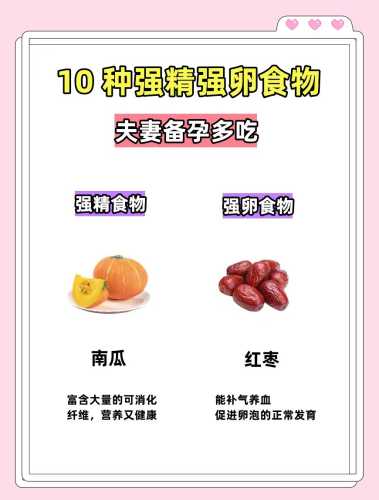 备孕前要准备什么食物-第1张图片