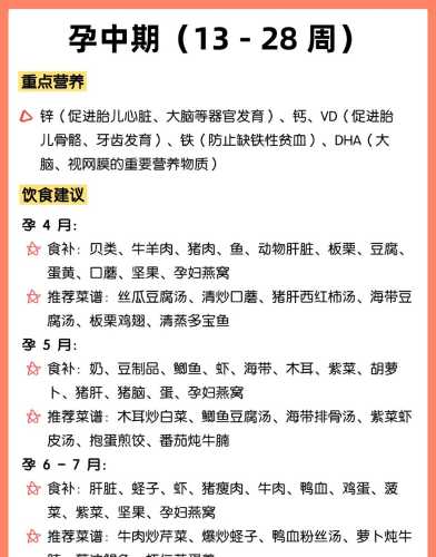 备孕吃维生素量表咋定-第1张图片