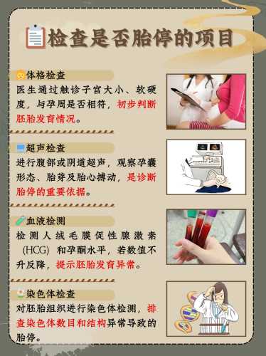 9周开始孕反会减轻吗-第1张图片