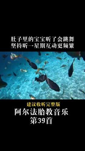 胎教怎么听有什么方法-第1张图片