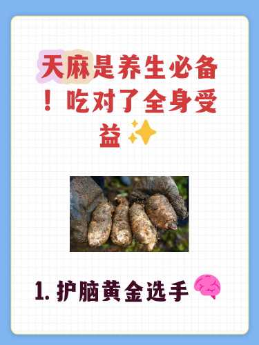 备孕能吃三七天麻吗-第1张图片
