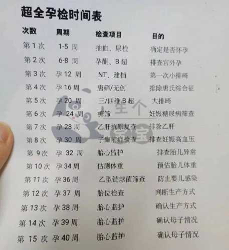怀孕多久到医院能查出-第1张图片
