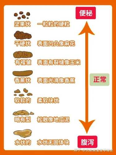 满月婴儿拉肚子该怎么办-第1张图片