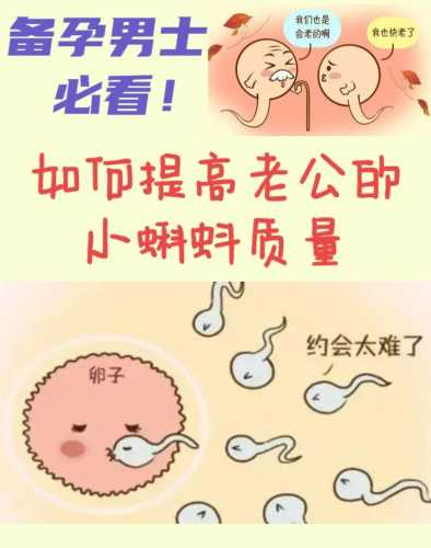 男人备孕需补哪些微量元素-第1张图片