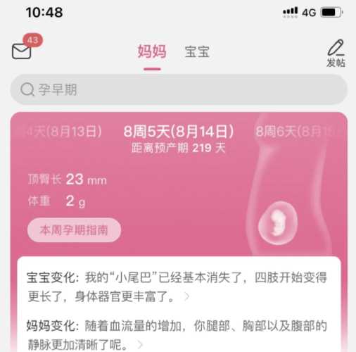 多久孕反会消失-第1张图片