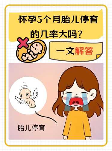 怀孕1个月能不能打掉孩子-第1张图片