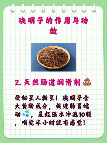 备孕怀孕能不能喝决明子-第1张图片