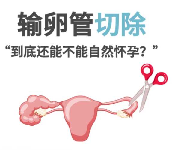 输卵管一侧能怀孕吗-第1张图片