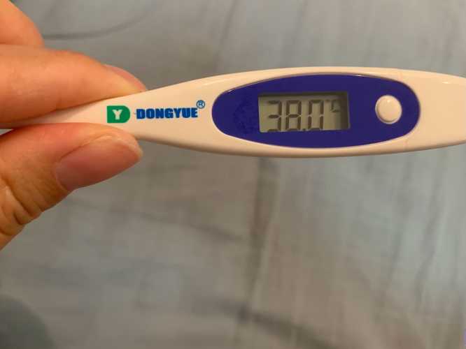 孕13周孕反还没消失正常吗-第1张图片