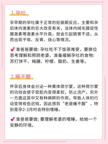备孕与孕妇的关系是什么-第1张图片