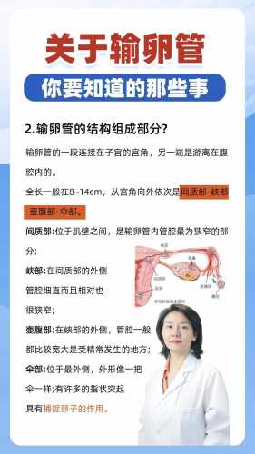 输卵管检查影响备孕吗-第1张图片