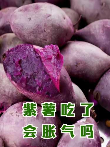 月子可以吃紫薯吗-第1张图片
