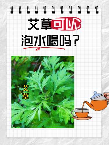 坐月子能用艾草洗澡吗-第1张图片
