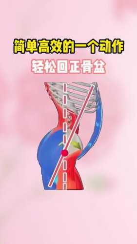 产后盆骨恢复运动有哪些图示-第1张图片