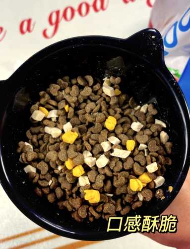 产后家里该如何调整-第1张图片