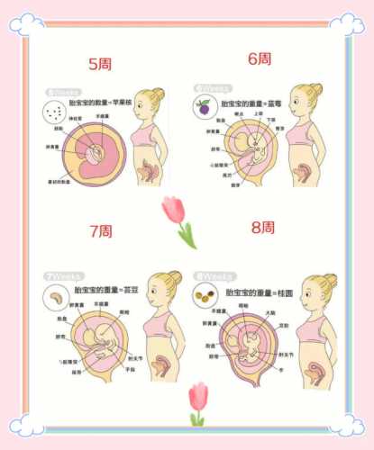 备孕12个月宝宝几月生-第1张图片