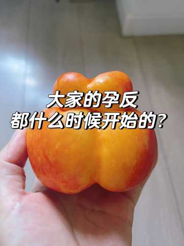 多久没孕反了-第1张图片