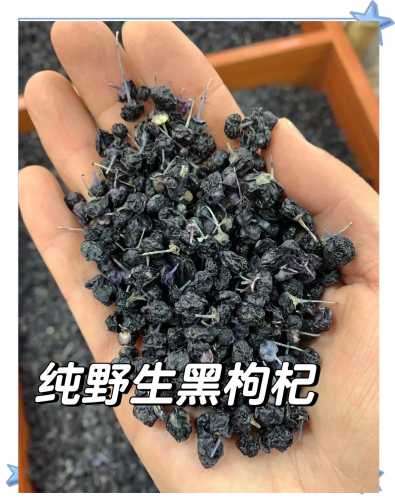 男的备孕泡黑枸杞喝有啥用-第1张图片