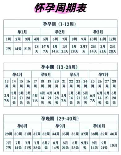 孕8周腰酸且孕反消失正常吗-第1张图片