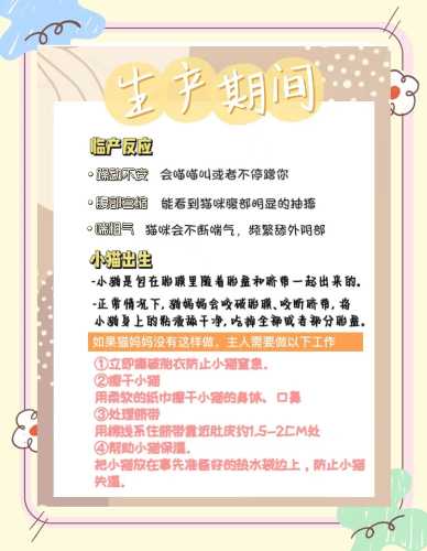 猫咪孕反视频有吗-第1张图片