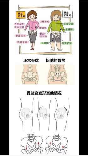产后多久骨盆就定型了-第1张图片