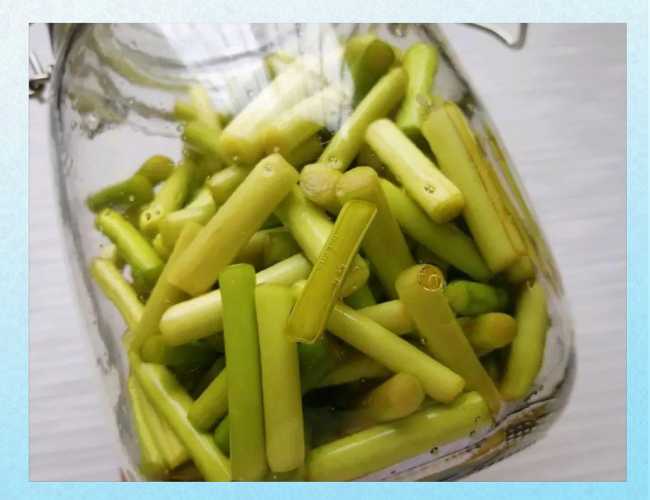 备孕期间能吃腌制蒜苔吗-第1张图片