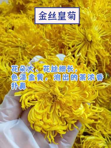 怀孕了能喝菊花茶吗-第1张图片
