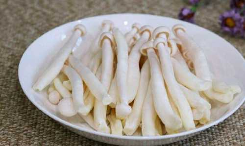 剖腹产可以吃海鲜菇吗-第1张图片