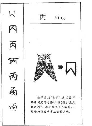 什么是丁婴儿有何含义-第1张图片