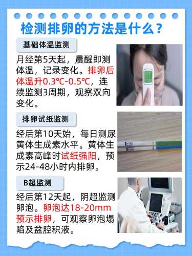 备孕如何监测排卵期-第1张图片