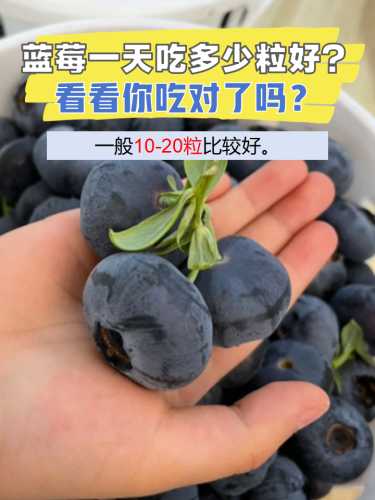 备孕的人能吃蓝莓吗-第1张图片