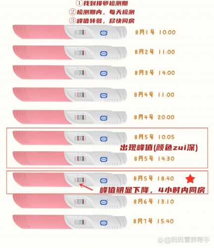 备孕后最好几分钟起来-第1张图片