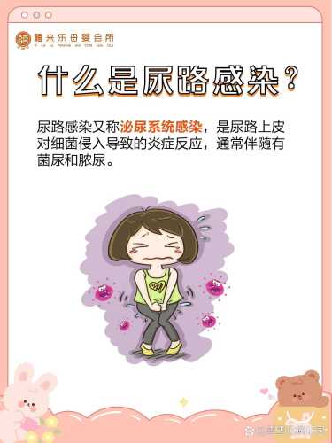 备孕如何避免尿路感染-第1张图片