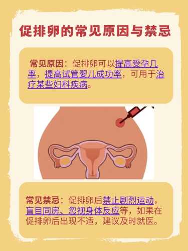 促卵泡素升高备孕原因是什么-第1张图片
