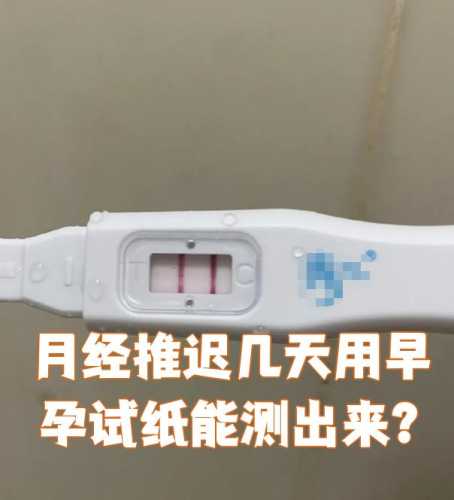 月经推迟四天能否测出怀孕-第1张图片