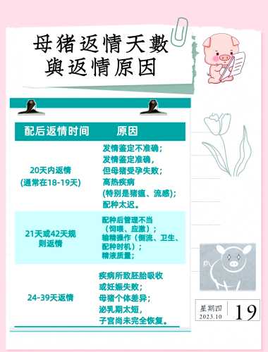 母猪产后温度一般是多少-第1张图片