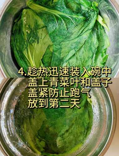 备孕能吃新鲜冲鼻菜吗-第1张图片