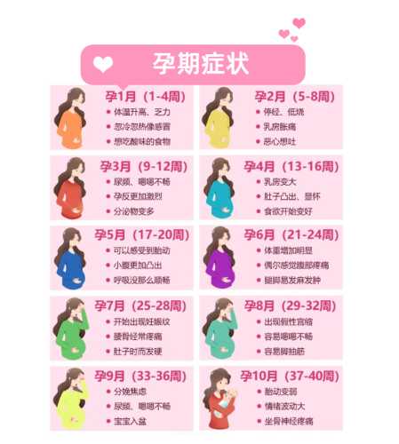 孕反为什么总在下午呢-第1张图片