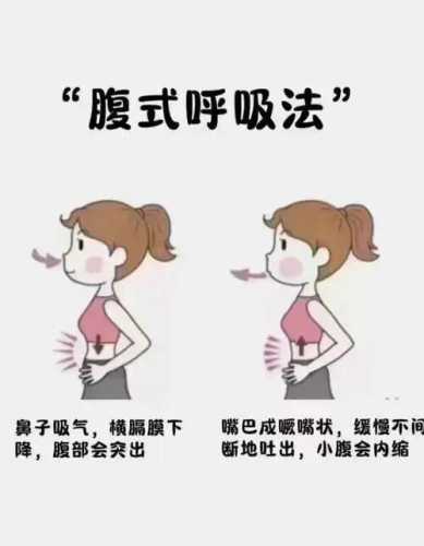 产后腹横肌有哪些锻炼方法-第1张图片