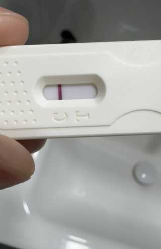 同房十多天能查出怀孕吗-第1张图片
