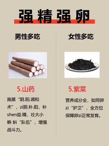 男士备孕前吃什么药来调理-第1张图片