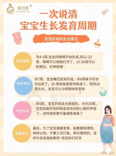胎教用啥工具好合适询问-第1张图片