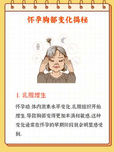 怀孕乳房能大多少-第1张图片