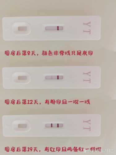 五天能验出怀孕吗-第1张图片