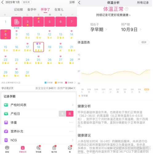 女性备孕喝1瓶啤酒好吗-第1张图片