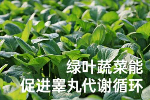 男人备孕喝什么水好些-第1张图片